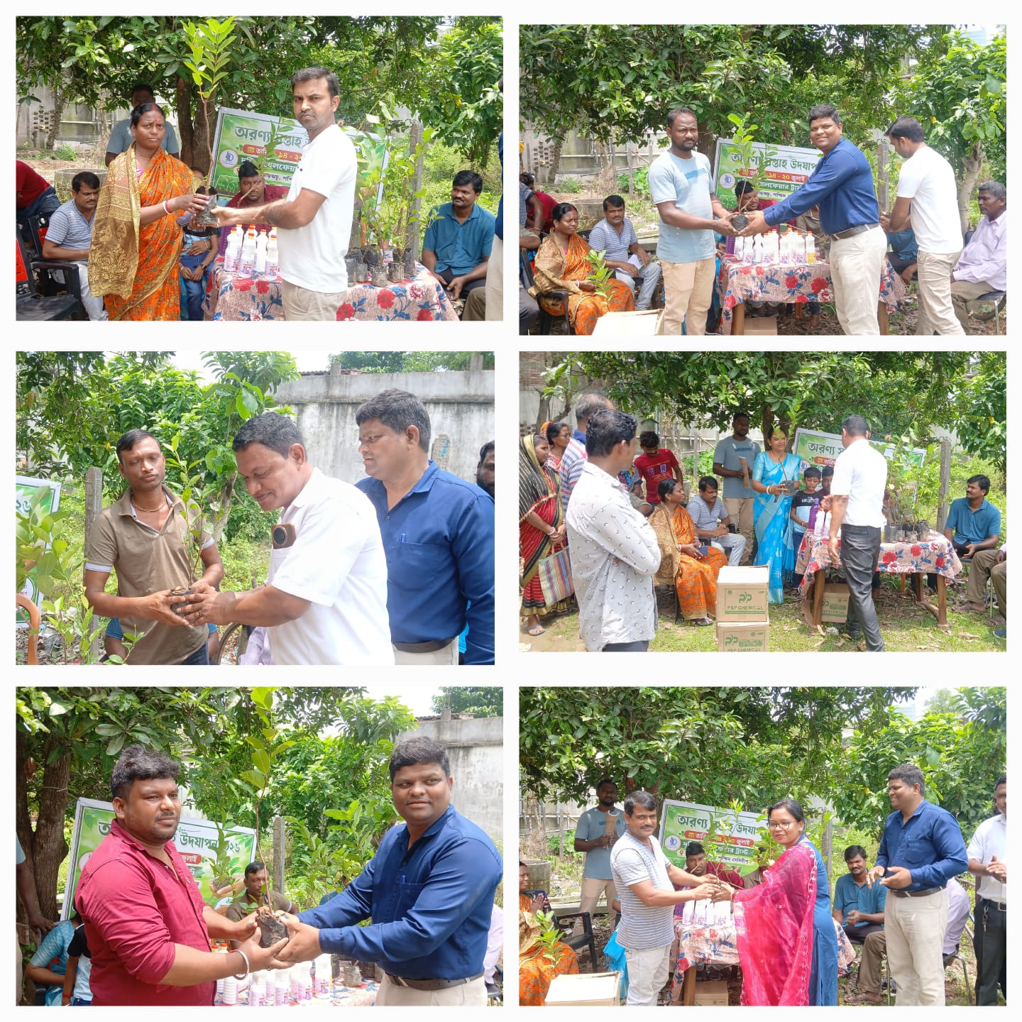 Tree Plantation Drive
